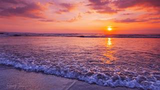 Deep Relaxation Piano Music for Study Focus Calm Mind and Peaceful Sleep