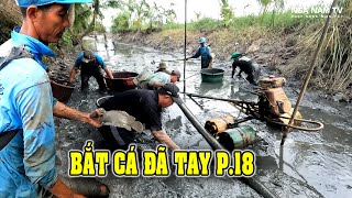 Tát đìa bắt cá vô kho vực cá nhiều bắt cá mỏi tay P.18/NGÃ NĂM TV