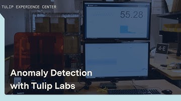 Anomaly Detection with Tulip