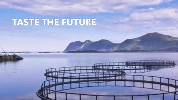 Global Problem - Global Solution