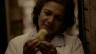 Festival de Cine Al Este de Lima: Chicken