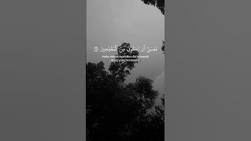 فأما من تاب وآمن وعمل صالحا فعسى أن يكون منالمفلحين |سورة القصص II#الشيخ_ياسر_الدوسري