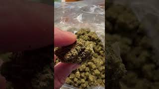The THCA “cheapest-for-the-tier” report: Indoor vs Light Assist vs Deps (Wholesale network)