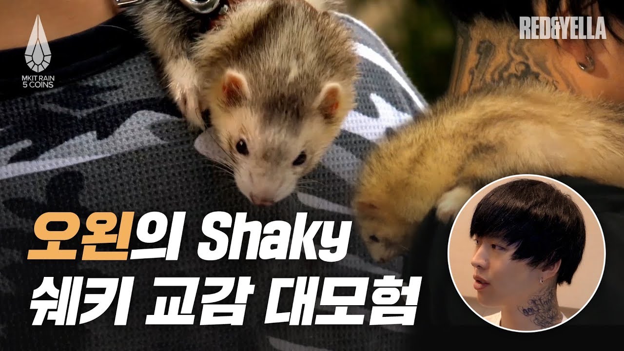 [MKIT RAIN 5 Coins] 오왼 오바도즈 2화