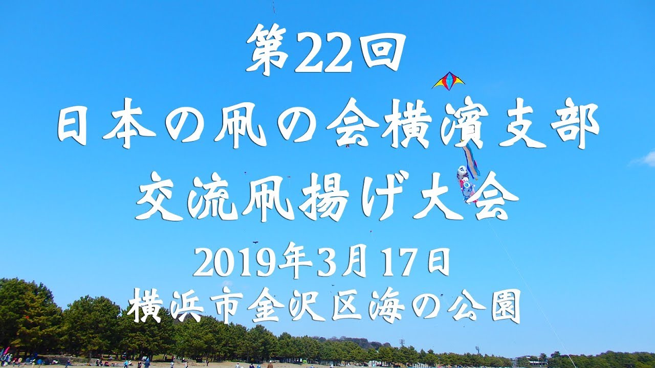 第22回日本の凧の会横濱支部交流凧揚げ大会 Youtube