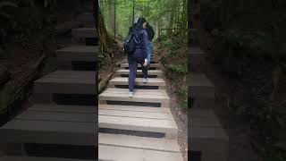 Family trip, weekend getaway in Lynn Canyon, North Vancouver 