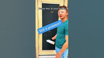 Get Rid Off House Flies In 12 Seconds Shorts 