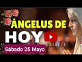 ⚘️💐 REZO DEL ÁNGELUS HOY SÁBADO 25 DE MAYO 2024. ORACIÓN ESPECIAL DE SALUDO A LA VIRGEN MARÍA ⚘️💐