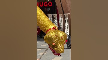 Thumbnail of Snake - 2025 World Dragon & Lion Dance Extravaganza | Lalaport, Kuala Lumpur