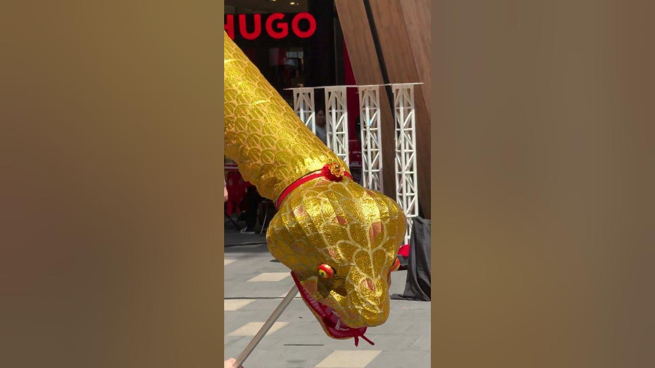 Snake - 2025 World Dragon & Lion Dance Extravaganza | Lalaport, Kuala Lumpur