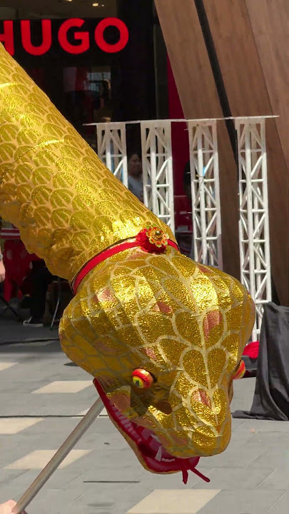Snake - 2025 World Dragon & Lion Dance Extravaganza | Lalaport, Kuala Lumpur