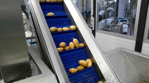 ZINNIA- Kronen  Conveyor Potato Processing Line Peeling Cutting Dicing