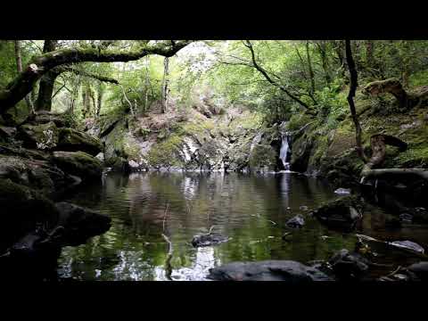 relax---tranquil-water-music-of-nature---calming-flowing-dripping-waterfall-sounds-meditation-peace