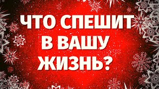 ЭТО НЕОЖИДАННО СКОРО ВОЙДЕТ В ВАШУ ЖИЗНЬ! ЧТО СПЕШИТ В ВАШУ ЖИЗНЬ? Таро онлайн...расклад на будущее