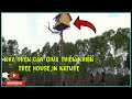 Nhà Trên Cây Giữa Thiên Nhiên – Tree House in Nature – Living Wild and Free