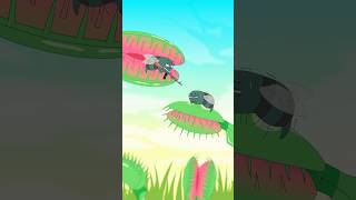 Do you know how the Venus flytrap catches its prey?#shorts