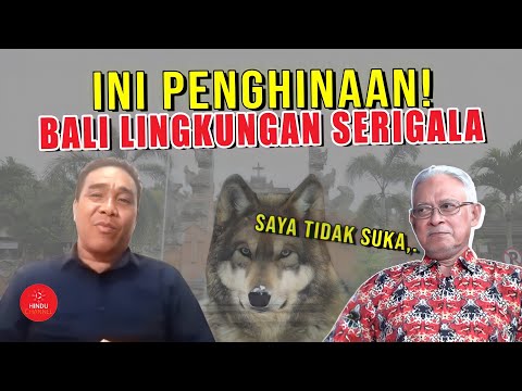 Video: UPDATE: Kehidupan Anjing Dihidupkan dalam Storm Menolak untuk Dihubungi