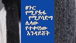 ፀጉር የሚያፏፋ የሚያሳድግ ሌላው የተቀባነው ማንኛውም ውህድ እንዳይሸት ይሄን እንጠቀም|ASTU TUBE