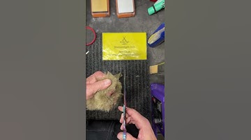 Testen van trimscharen na het slijpen - Hoogtepunten van de livestream