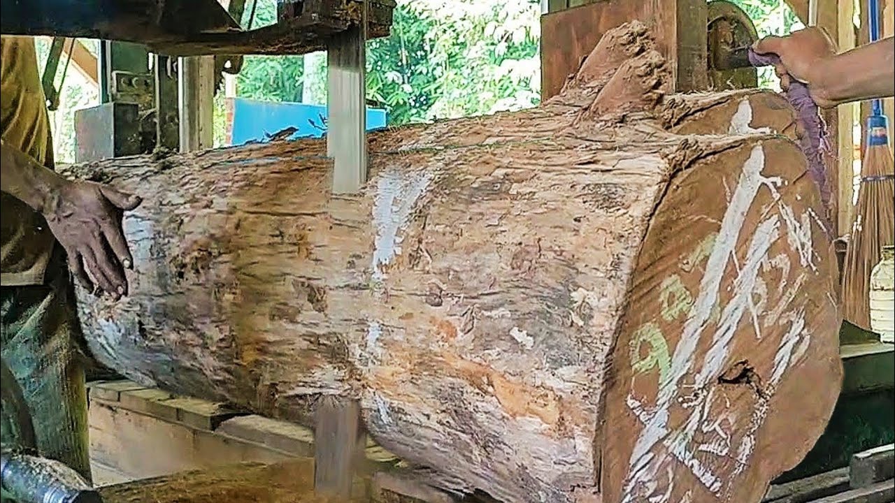 sawing dry sealed teak wood full of old grain into 7×14 blocks - YouTube