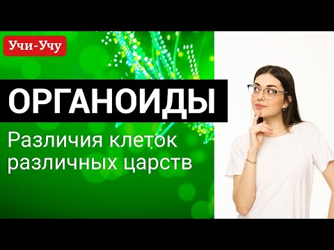 Органоиды. Различия клеток различных царств | Биология ЕГЭ | Учи-Учу