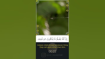 مثل الذين اتخذوا من دون الله أولياء كمثل العنكبوت - القارئ ياسر الدوسري