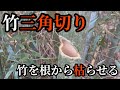 【竹三角切り】竹を根から枯らす方法