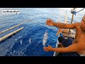 Surigao "Kitang" and "Undak" Fishing Catch many Tuna [Catch & Cook] Tuna Sardines Recipe