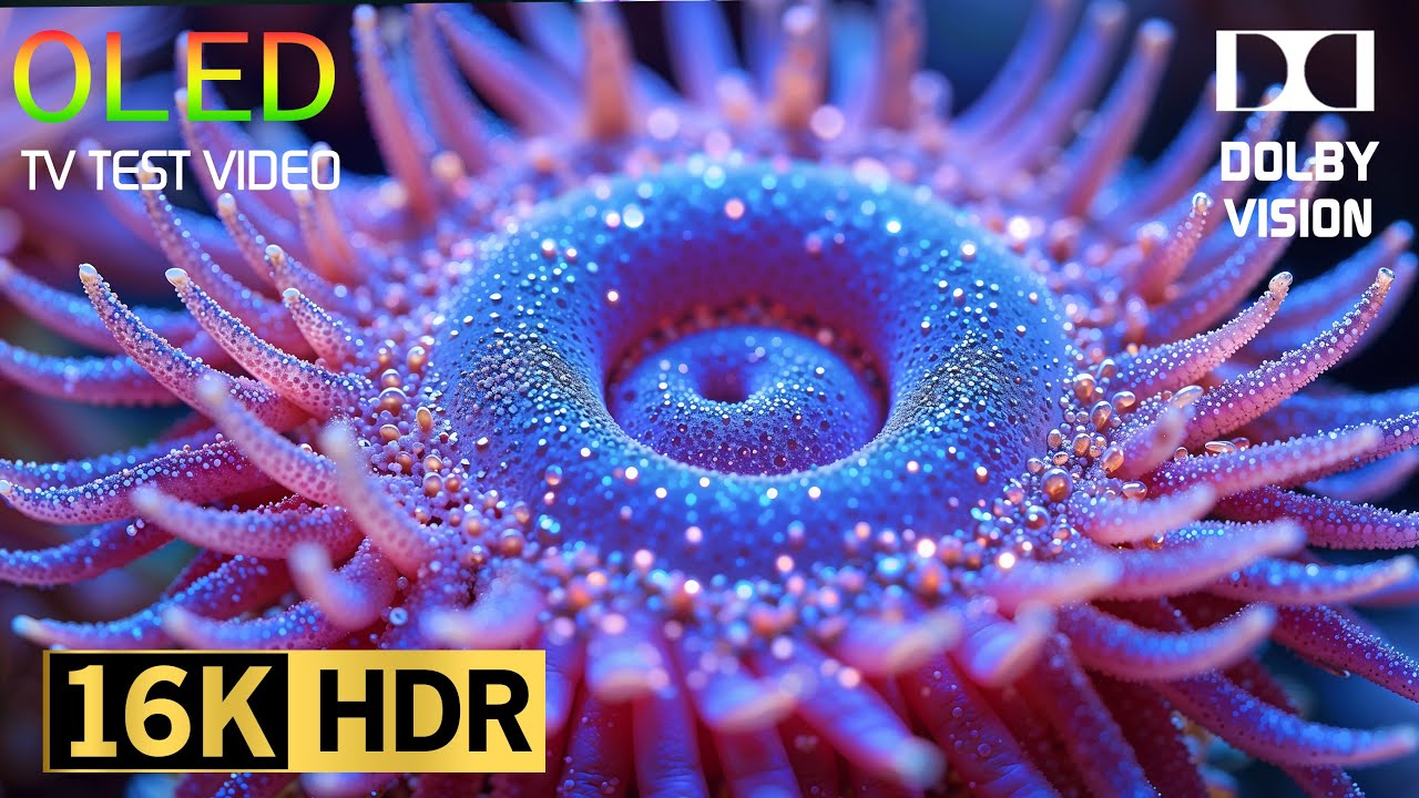 Nature music + Relaxing music - The best 4K scenic views for relaxation