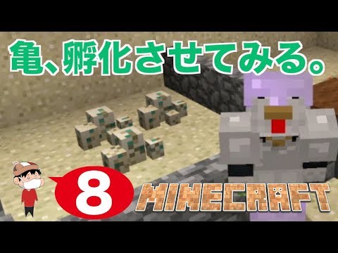 ８ Switch マイクラ部 亀を孵化させてみたい Youtube