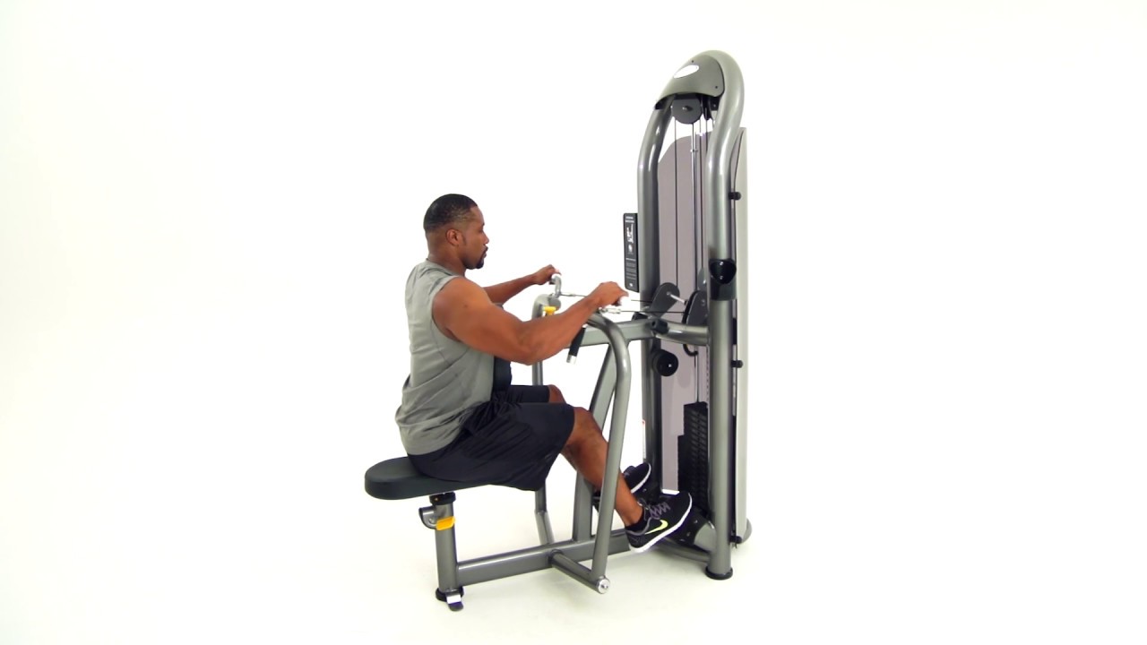 Buy Aura Seated Row for Mid and Upper Back Muscles Exercise