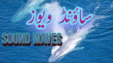 Science 7th | Ch-10: Sound Waves