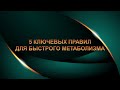 5 ключевых правил для быстрого метаболизма