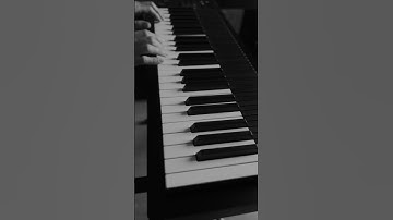 The subtle touch and feeling of the Osmose #musiccomposer #MPE #osmose