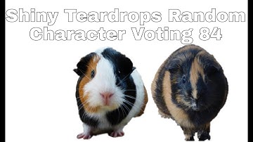 Shiny Teardrops Random Character Voting 84
