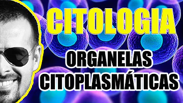 Qual é a composição do citosol?