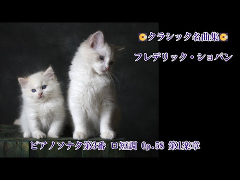 フレデリック・ショパン　資料集 フレデリックショパン全仕事 | 小坂 裕子 |本 | 通販 | Amazon