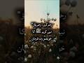 Rahm Karo, Rahm Pao" | Nabi Kareem ﷺ ka khoobsurat hadees #islamicshort #NoorVerse #trending