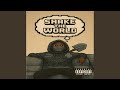Shake The World