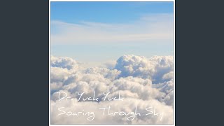 Soaring Through Sky
