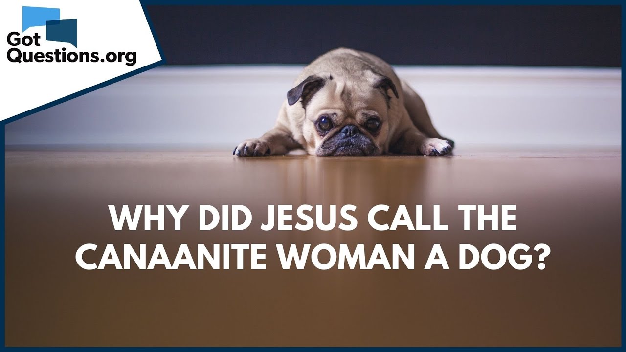 Why Did Jesus Call The Canaanite Woman A Dog? | Gotquestions.Org