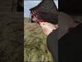This Is Why Gravity Is The BEST Spell In Blade and Sorcery VR U11