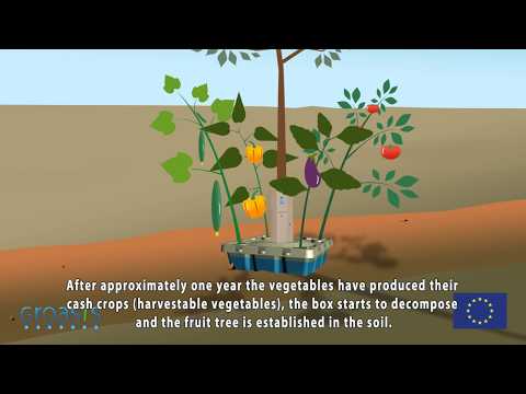 Anti desertification and reforestation with the Growboxx® plant cocoon
