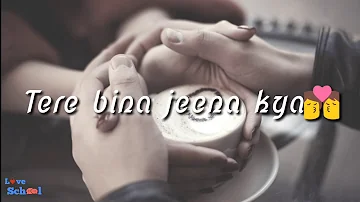 WhatsApp Status Video || Tere Bina Jeena Kya || Lyrics