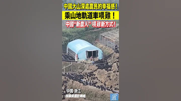 來自中國大山深處農民的幸福感！乘山地軌道車喂雞? 省時又省力～#中國 #china #zhejiang - 天天要聞