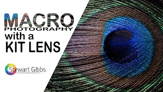 Macro Photography on Budget with a Kit Lens | Extension Tubes for Macro