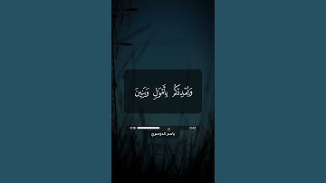 ( تلاوة خاشعة ) | سورة نوح آية 10 - 14 | ياسر الدوسري | قرآن كريم | #حالات_واتس