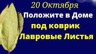 20 Октября Положите под коврик столько лавровых листьев, сколько....