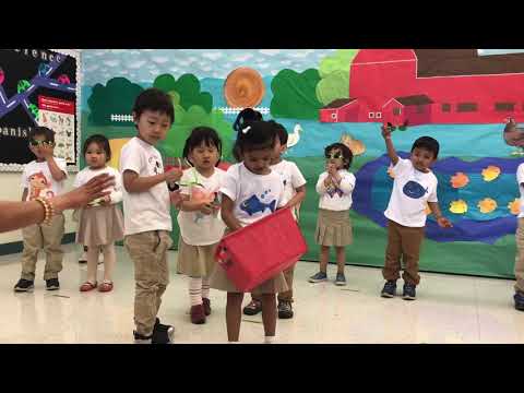 Preschool Spring Program 2019| Stratford School| Santa Clara