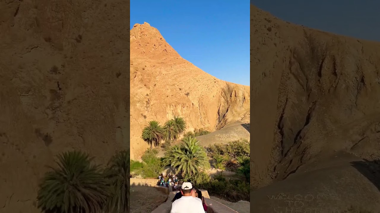 Tozeur Oasis: Unveiling the Tranquil Beauty of Tunisian Serenity